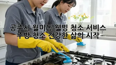 공주시 월미동 웰빙 청소 서비스: 주방 청소, 건강한 삶의 시작